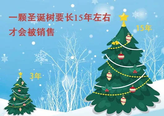中国最早报道圣诞节的竟是《人民日报》，你不知道的10个圣诞小知识